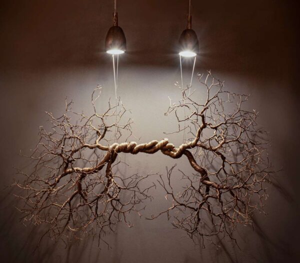 16.-roots-of-destiny1-COMPRESSED2 16.-roots-of-destiny1-COMPRESSED2