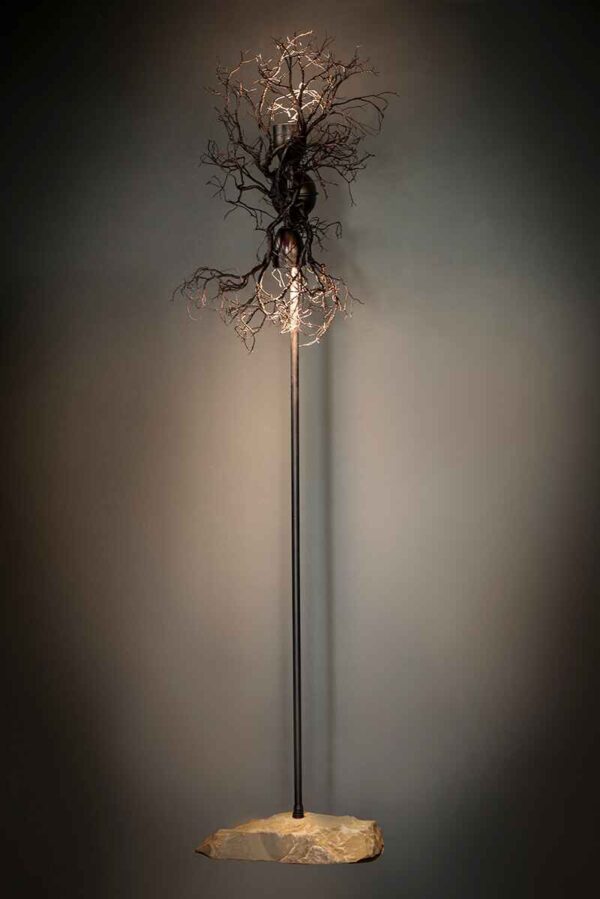 28.-rooting-stone-COMPRESSED 28.-rooting-stone-COMPRESSED