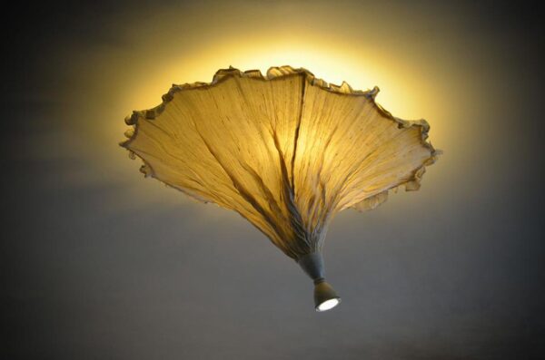 4.-HIBISCUS-Ecru 4.-HIBISCUS-Ecru