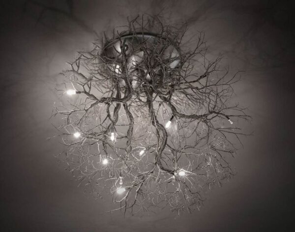 4.-roots-medium-COMPRESSED2 4.-roots-medium-COMPRESSED2