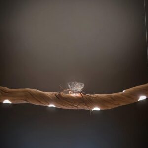 Be my Guest - Ceiling Light fixture