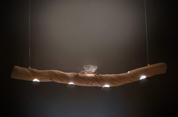 6.-be-my-guest-new-COMPRESSED2 6.-be-my-guest-new-COMPRESSED2