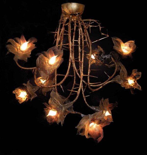 7.thorns-1-COMPRESSED 7.thorns-1-COMPRESSED