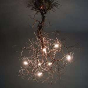 Root Branch - Ceiling Light fixture