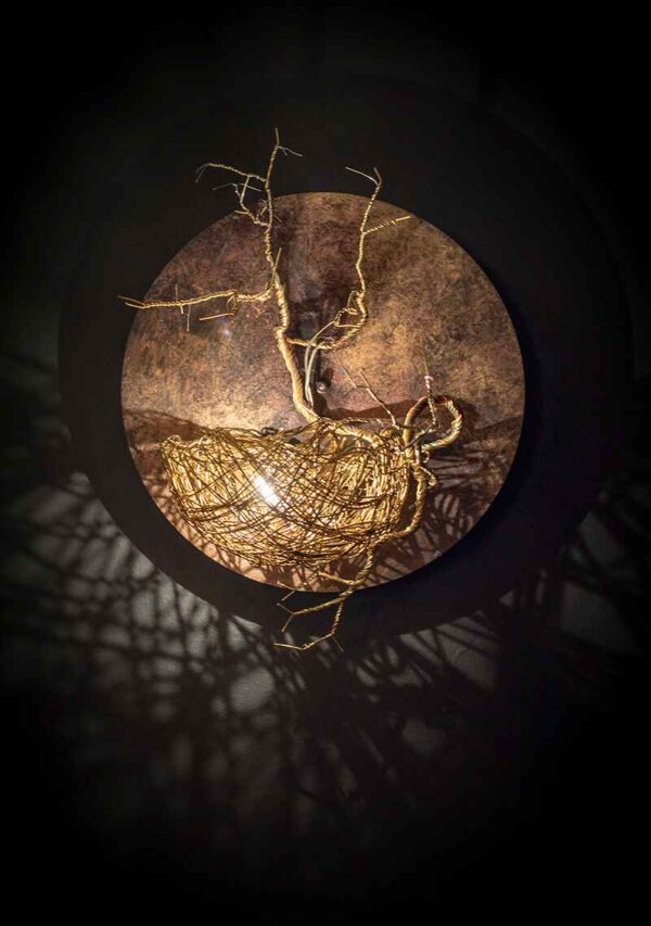 8.Nest-gold-site-COMPRESSED 8.Nest-gold-site-COMPRESSED